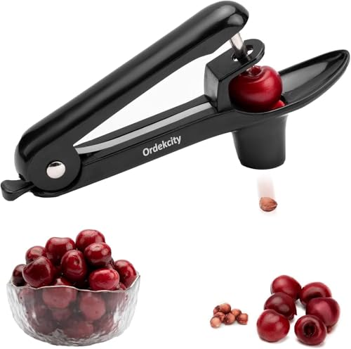 Best Cherry Pitter Tool Handheld