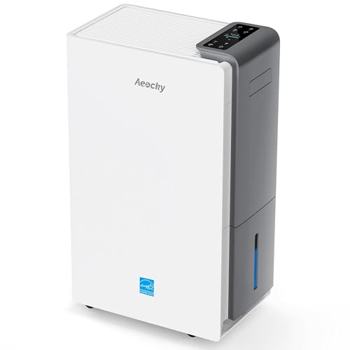 Best Dehumidifier