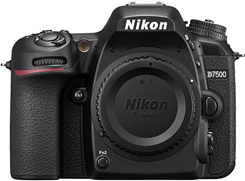 Best Dslr Camera Body