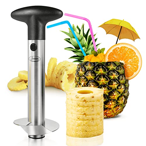 Best Pineapple Corer Slicer Tool Stainless Steel