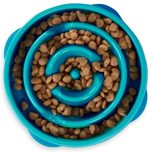 Best Slow Feeder Dog Bowl Bloat Stop